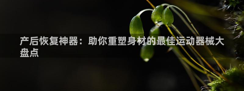凯时登录界面：产后恢复神器：助你重塑身材的最佳运动器