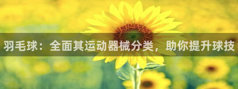 尊龙凯时平台正规吗：羽毛球：全面其运动器械分类，助你