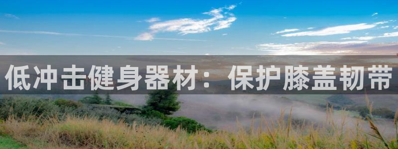 尊龙凯时提不了款：低冲击健身器材：保护膝盖韧带