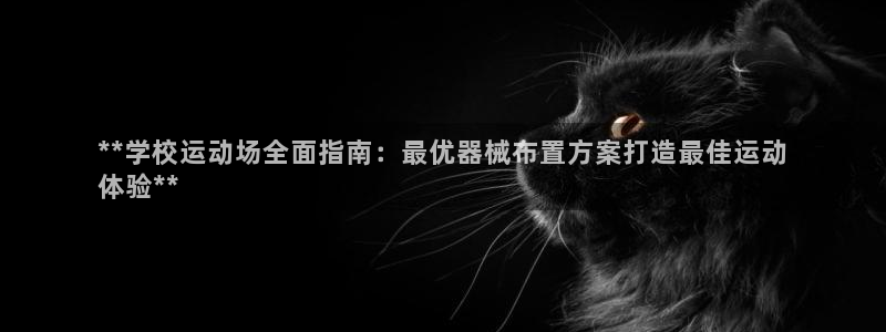 尊龙官网免费下载安卓：**学校运动场全面指南：最优器