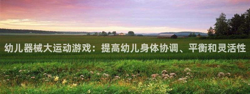 尊龙会：幼儿器械大运动游戏：提高幼儿身体协调、平衡和