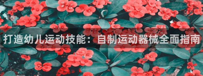 尊龙凯时人生就是搏包装优势：打造幼儿运动技能：自制运