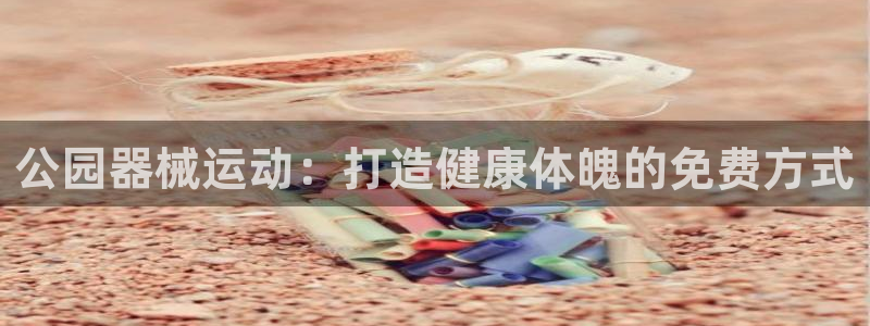 尊龙体育电竞官网：公园器械运动：打造健康体魄的免费方