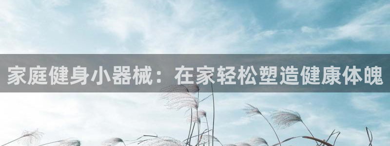 尊龙凯时出款：家庭健身小器械：在家轻松塑造健康体魄