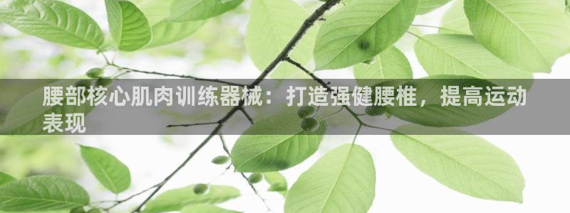 尊龙z6官网ag：腰部核心肌肉训练器械：打造强健腰椎