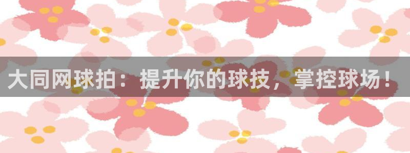 尊龙凯时一人生就是博官网：大同网球拍：提升你的球技，