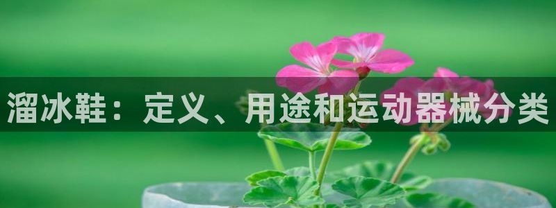 kb88凯时SO权威AG发财网：溜冰鞋：定义、用途和