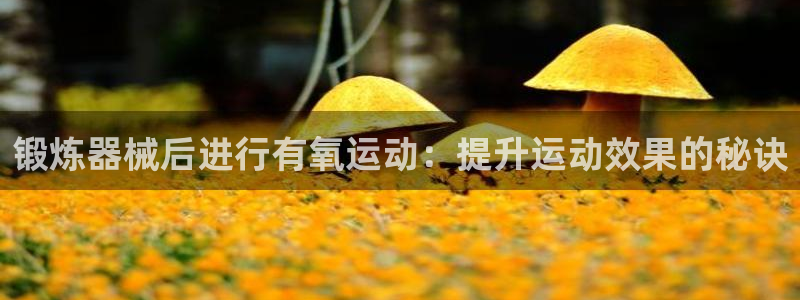 尊龙人生就是一博!：锻炼器械后进行有氧运动：提升运动
