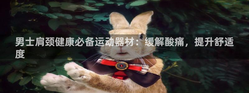 尊龙凯时充值不到账：男士肩颈健康必备运动器材：缓解酸