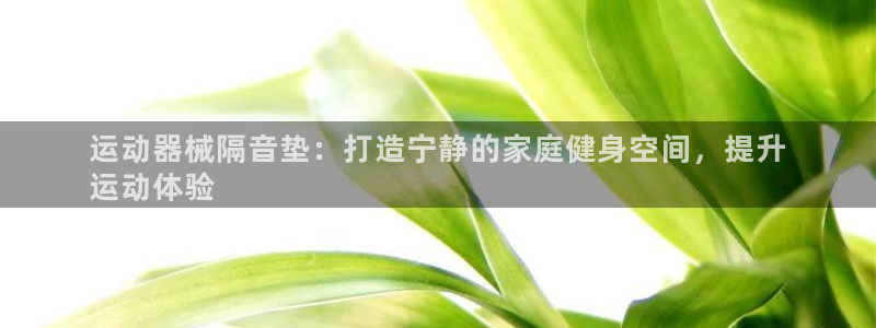 尊龙官网手机版：运动器械隔音垫：打造宁静的家庭健身空