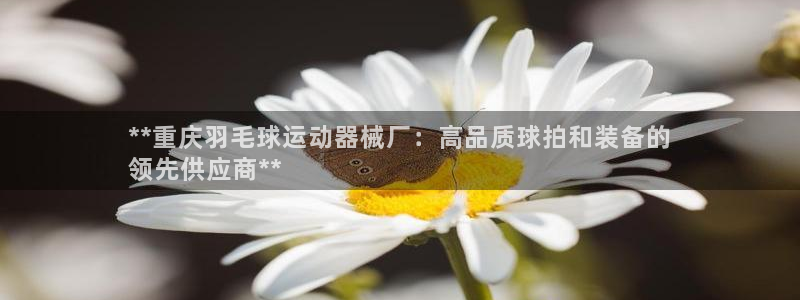 尊龙凯时官网网址：**重庆羽毛球运动器械厂：高品质球