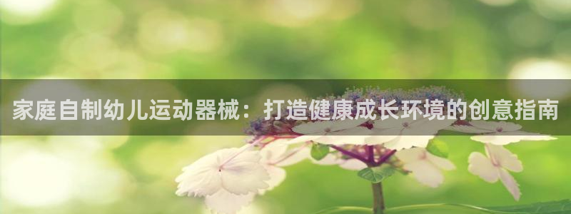 尊龙体育正规么：家庭自制幼儿运动器械：打造健康成长环