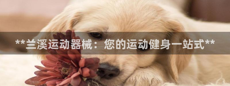 尊龙游戏官网：**兰溪运动器械：您的运动健身一站式*