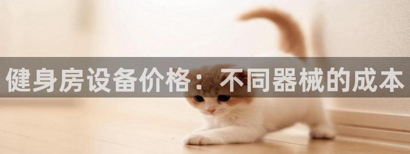 z6尊龙凯时旗舰厅：健身房设备价格：不同器械的成本