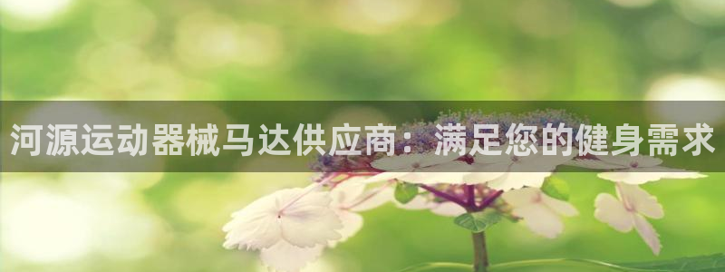 尊龙网址是多少：河源运动器械马达供应商：满足您的健身