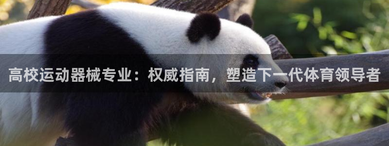 尊龙是什么软件
