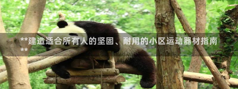 尊龙凯时百万奖池：**建造适合所有人的坚固、耐用的小