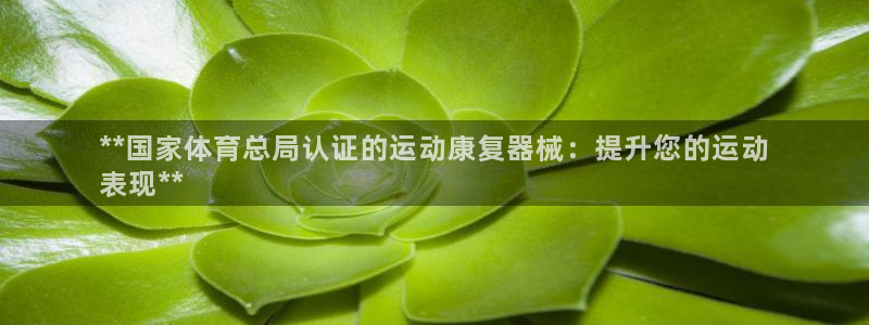 尊龙凯时发展历程