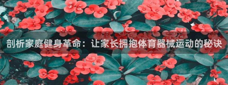 尊龙新版人生就是博!：剖析家庭健身革命：让家长拥抱体