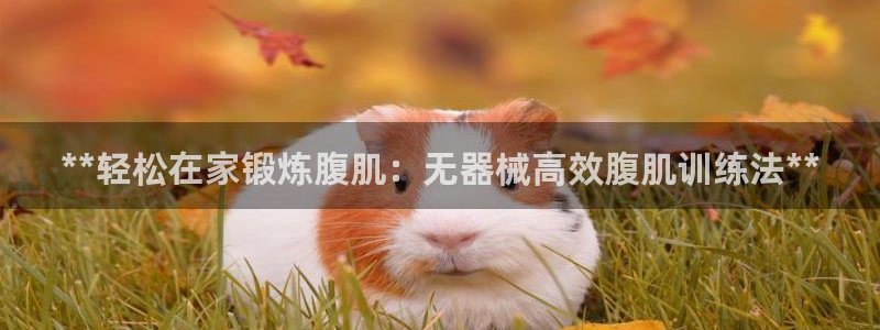尊龙d88官网可靠送38元：**轻松在家锻炼腹肌：无