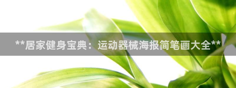 尊龙凯时赞助