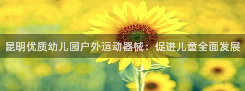 d88尊龙官网登录免费下载：昆明优质幼儿园户外运动器