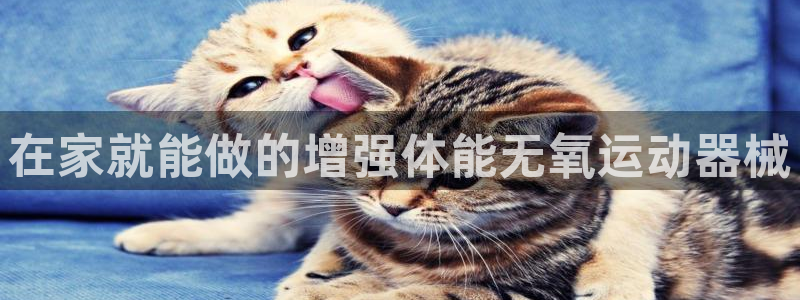 尊龙物流怎么样：在家就能做的增强体能无氧运动器械