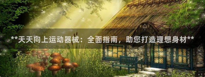 凯时AG网：**天天向上运动器械：全面指南，助您打造