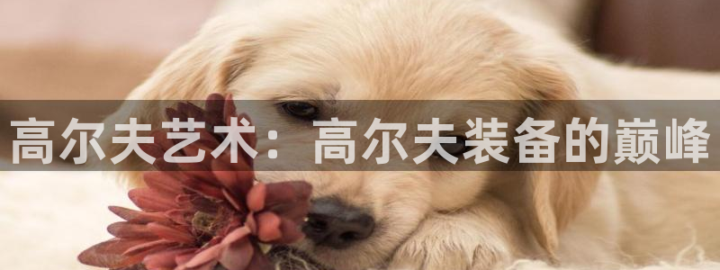 尊龙这个平台怎么样：高尔夫艺术：高尔夫装备的巅峰