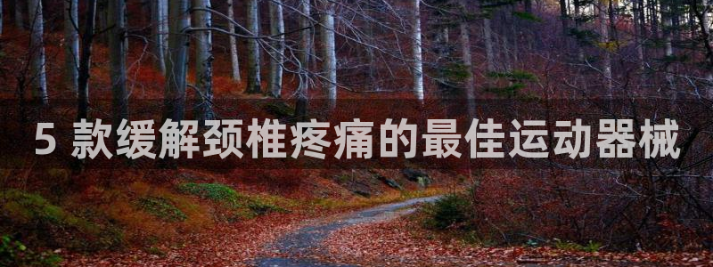尊龙人生就是博用现金玩一下：5 款缓解颈椎疼痛的最佳