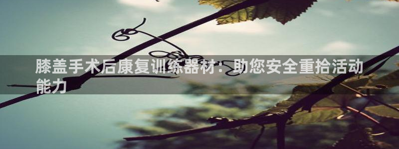 首页尊龙d88国际：膝盖手术后康复训练器材：助您安全
