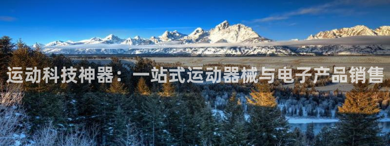 凯时app官方首页：运动科技神器：一站式运动器械与电