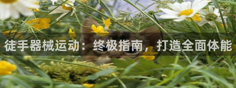 KB88凯时官网：徒手器械运动：终极指南，打造全面体