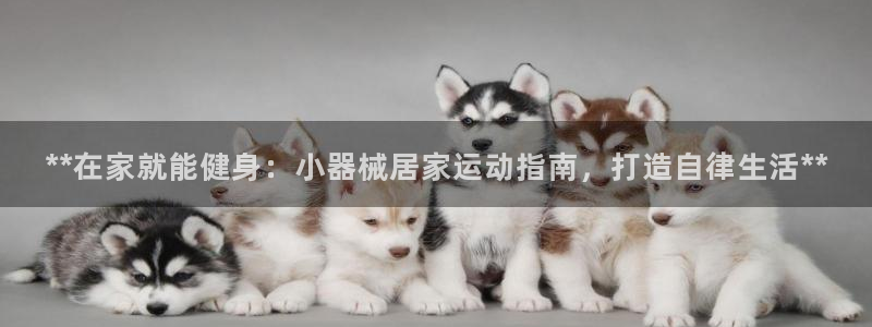 尊龙集团有限公司是国企吗：**在家就能健身：小器械居