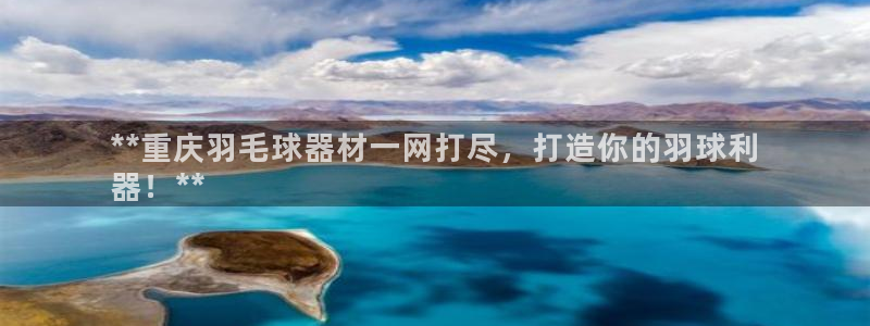尊龙凯时百家乐手机下载：**重庆羽毛球器材一网打尽，