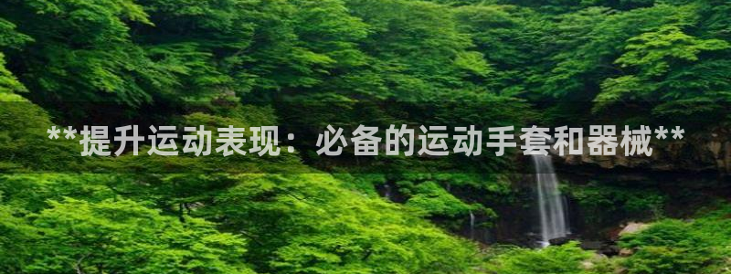 尊龙新版登录网址下载：**提升运动表现：必备的运动手