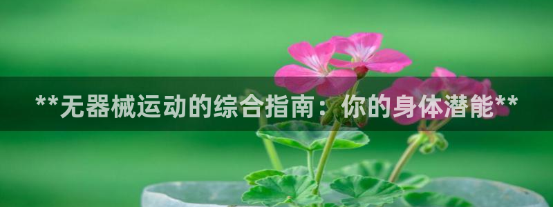 尊龙凯时客服：**无器械运动的综合指南：你的身体潜能