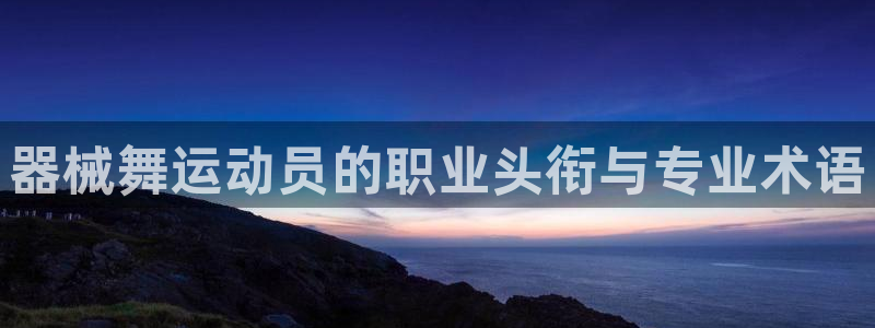 尊龙凯时合法吗?：器械舞运动员的职业头衔与专业术语