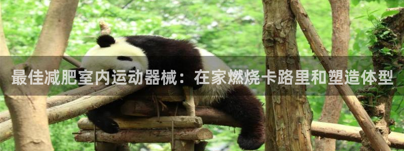 尊龙app最新版本官网：最佳减肥室内运动器械：在家燃