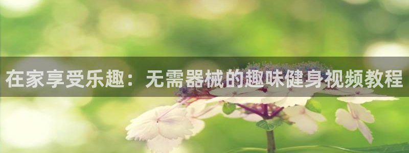 尊龙d88官网登录下载：在家享受乐趣：无需器械的趣味
