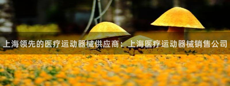 尊龙凯时旗舰厅百家乐下载
