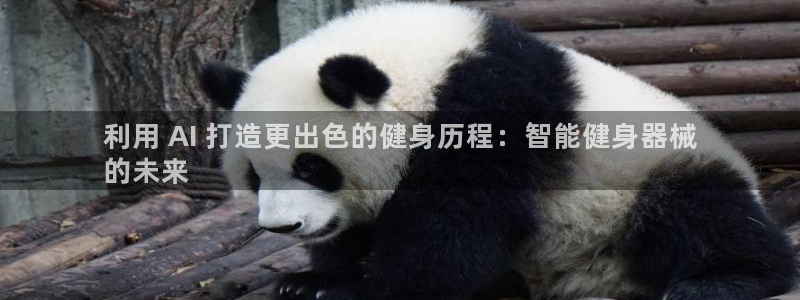 尊龙z6网址：利用 AI 打造更出色的健身历程：智能