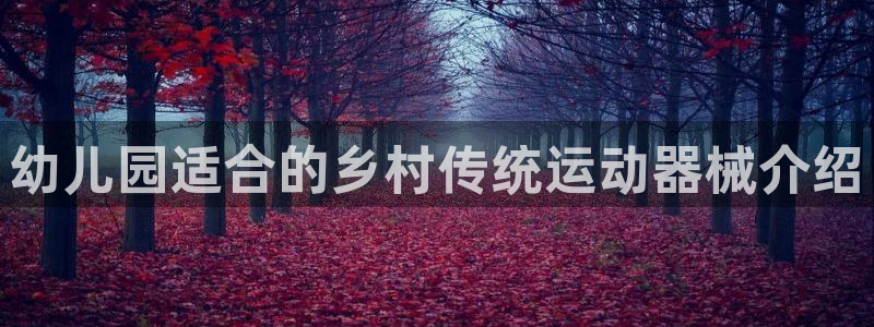 尊龙t300和t400哪个好：幼儿园适合的乡村传统运