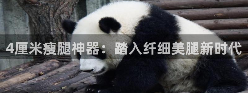尊龙AG旗舰厅官网：4厘米瘦腿神器：踏入纤细美腿新时