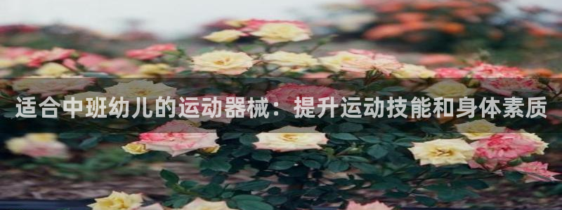 尊龙凯时人生就是博中国官网：适合中班幼儿的运动器械：