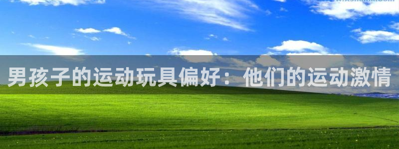 尊龙凯时网娱乐最新版下载：男孩子的运动玩具偏好：他们
