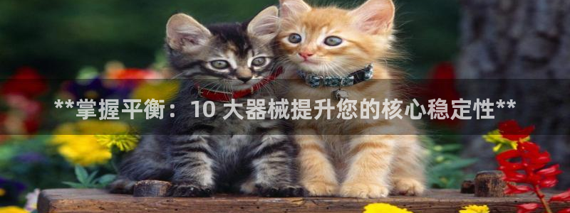 尊龙t600：**掌握平衡：10 大器械提升您的核心