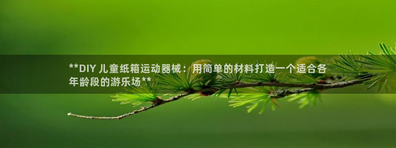 尊龙人生就是博旧：**DIY 儿童纸箱运动器械：用简