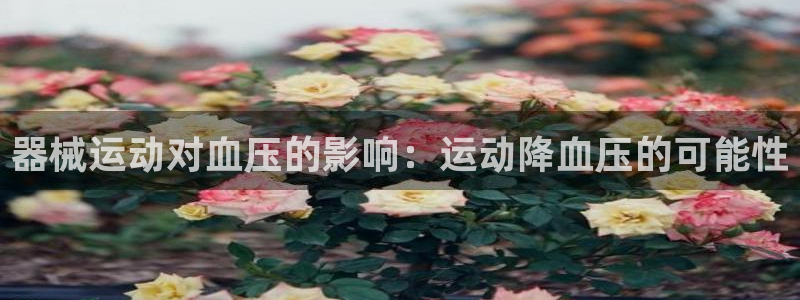 z6尊龙凯时旗：器械运动对血压的影响：运动降血压的可