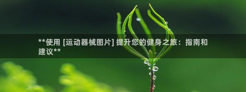ag尊龙怎么样：**使用 [运动器械图片] 提升您的